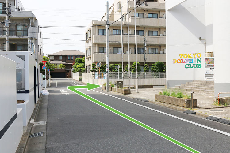 「TOKYO DOLPHIN CLUB」を右に曲がります